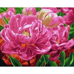 Tapyba pagal skaičius Pink Peony Delight 40x50 cm