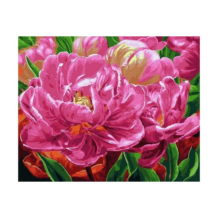 Tapyba pagal skaičius Pink Peony Delight 40x50 cm