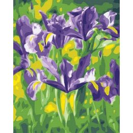 Tapyba pagal skaičius Violetiniai vilkdalgiai 40x50 cm