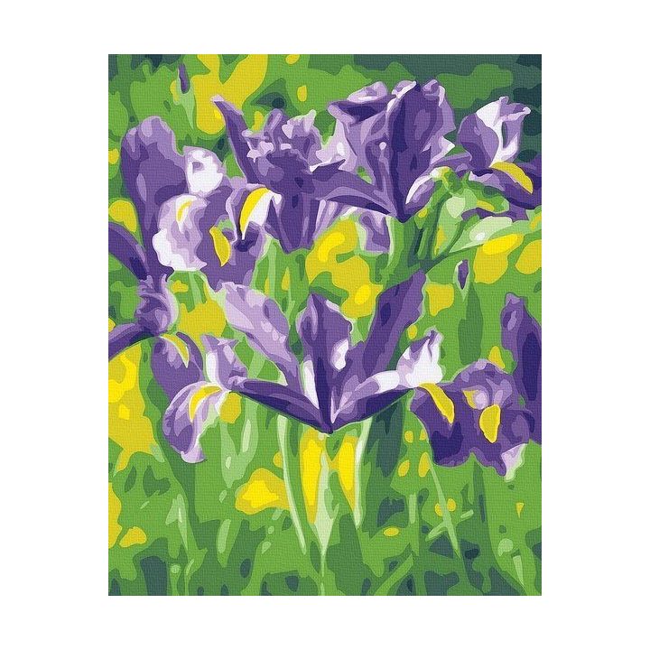 Tapyba pagal skaičius Violetiniai vilkdalgiai 40x50 cm