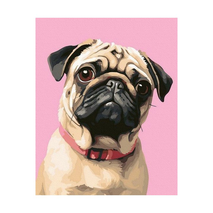 Tapyba pagal skaičius Mopso portretas 40x50 cm