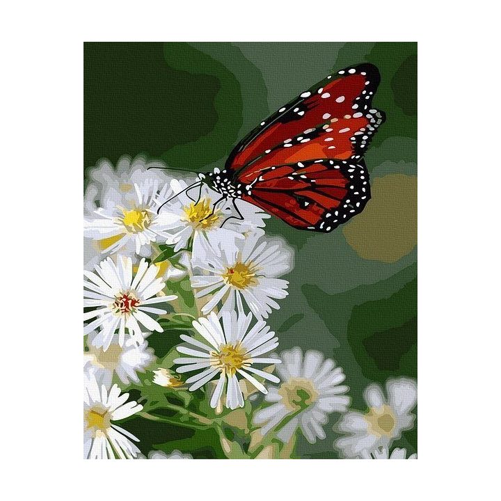 Tapyba pagal skaičius Drugelis ant gėlių 40x50 cm