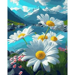 Tapyba pagal skaičius Kalnų ramunės 40x50 cm