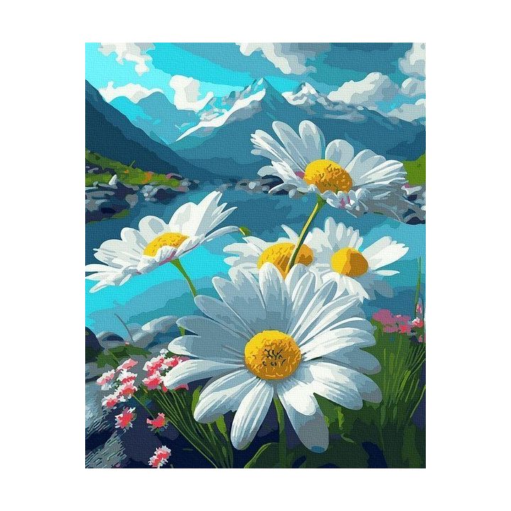 Tapyba pagal skaičius Kalnų ramunės 40x50 cm