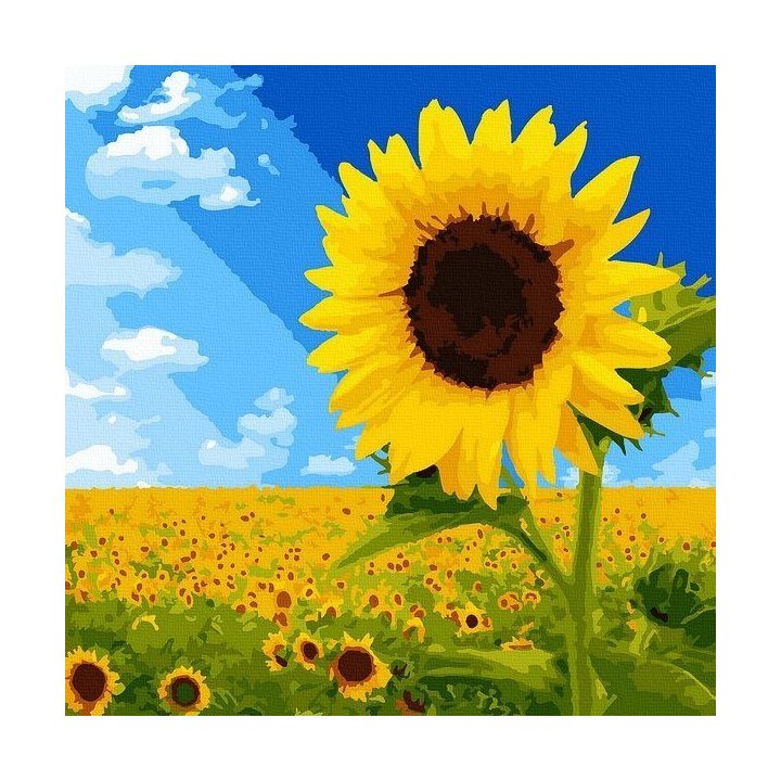 Tapyba pagal skaičius Saulėgrąžų laukas 40x40 cm