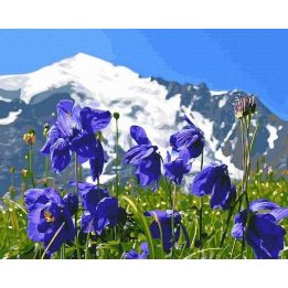 Tapyba pagal skaičius Kalnų vilkdalgiai 40x50 cm
