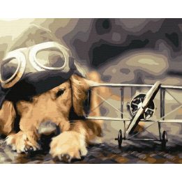 Tapyba pagal skaičius šuniukas aviatorius 40x50 cm
