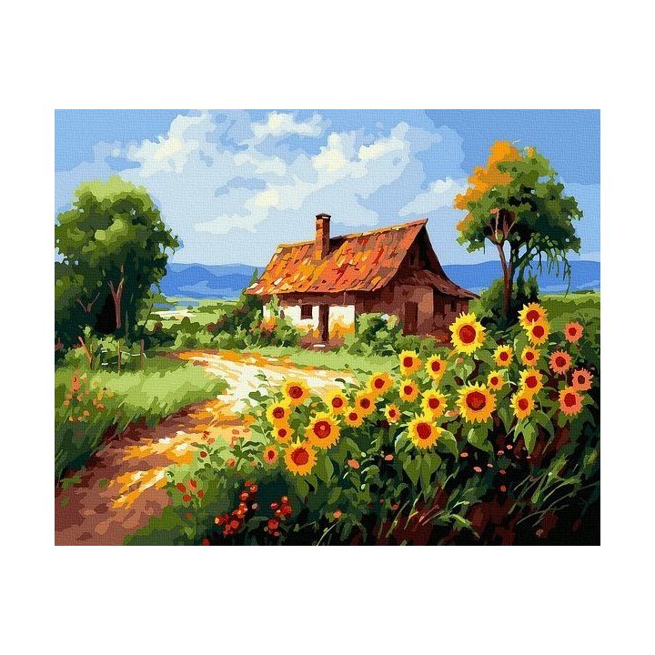 Tapyba pagal skaičius kaimo namelis 40x50 cm