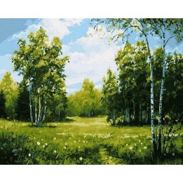 Tapyba pagal skaičius Saulėtas beržynas 40x50 cm