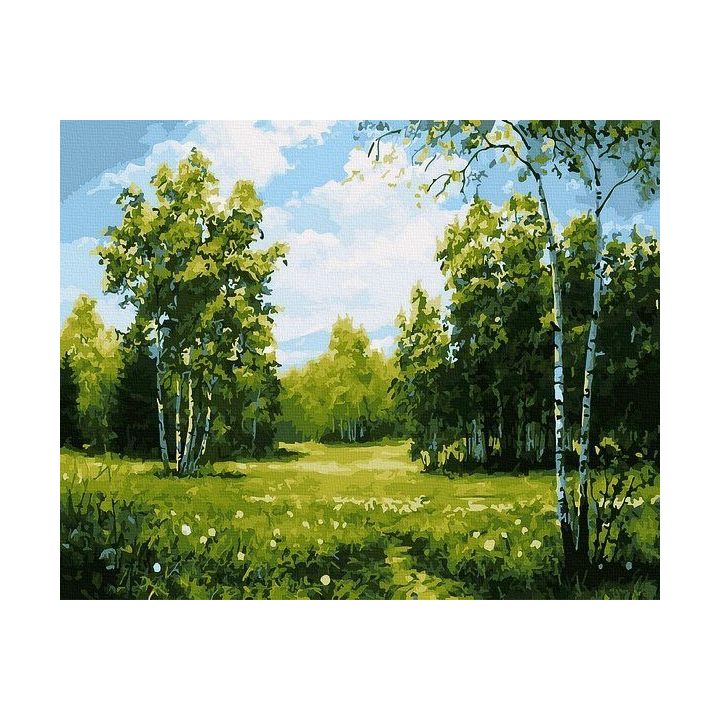 Tapyba pagal skaičius Saulėtas beržynas 40x50 cm