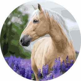 Tapyba pagal skaičius Auksinis arklys 40x40 cm