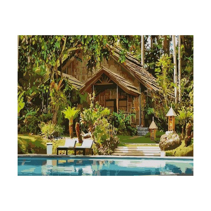 Tapyba pagal skaičius Tropical peizažas 40x50 cm