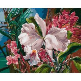 Tapyba pagal skaičius su tropinėmis orchidėjomis 40x50 cm
