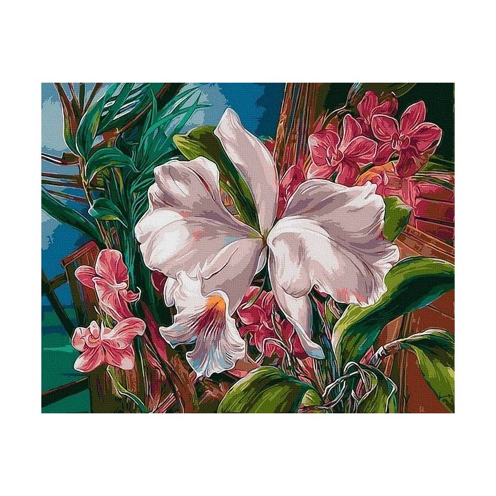 Tapyba pagal skaičius su tropinėmis orchidėjomis 40x50 cm