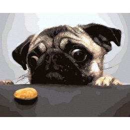 Tapyba pagal skaičius Mopsas su gydytojo kostiumu“, 40×50 cm
