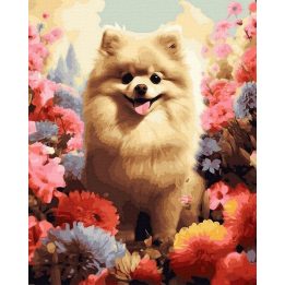 Tapyba pagal skaičius su Pomeranijos šunimi, 40x50 cm
