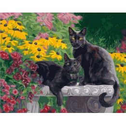 Tapyba pagal skaičius juoda katė sode 40x50 cm