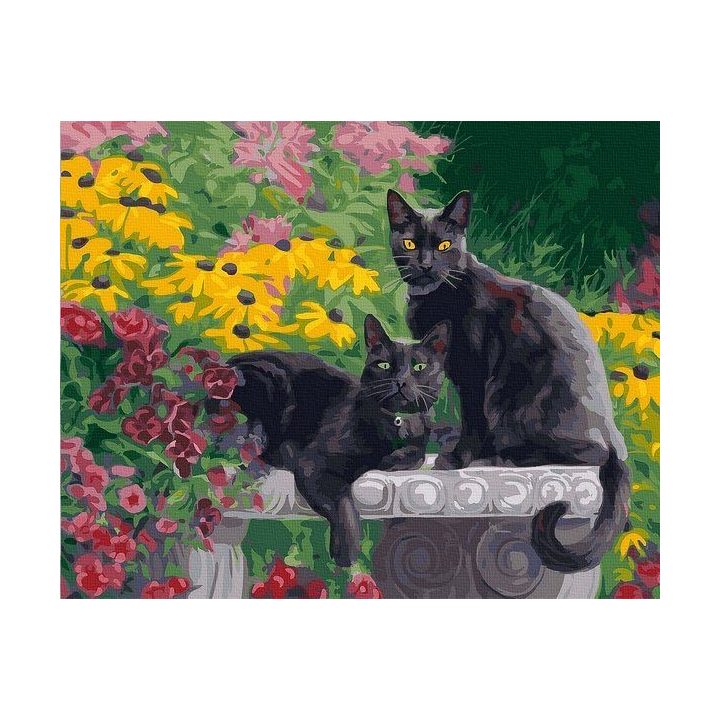 Tapyba pagal skaičius juoda katė sode 40x50 cm