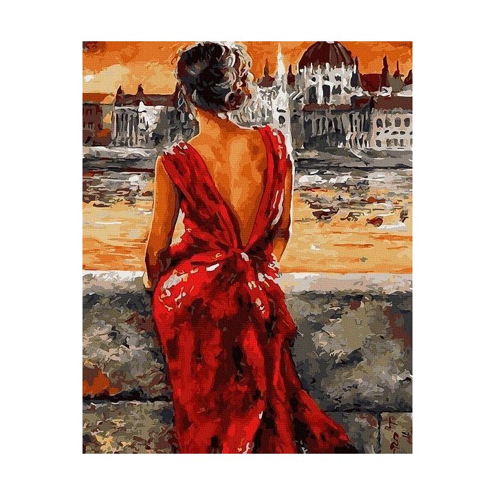 Tapyba pagal skaičius raudona ponia 40x50 cm
