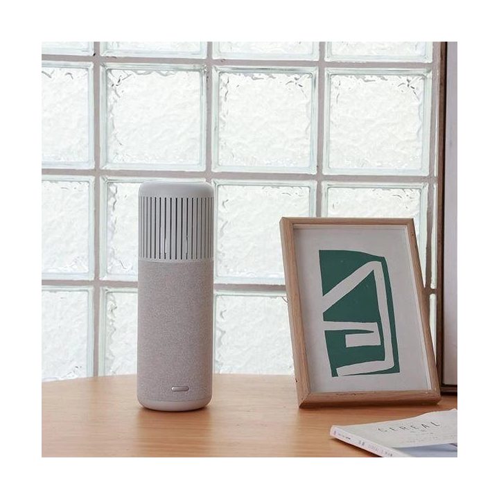 Bluetooth kolonėlė sidabrinė su LED apšvietimu HiFuture