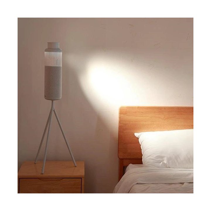 Bluetooth kolonėlė sidabrinė su LED apšvietimu HiFuture