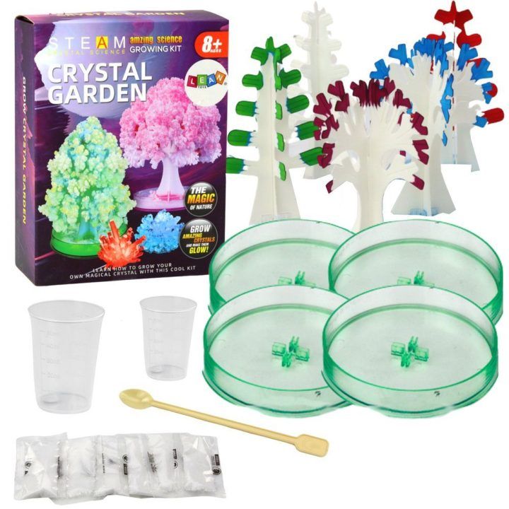 Kristalų auginimo rinkinys vaikams Crystal Garden STEAM