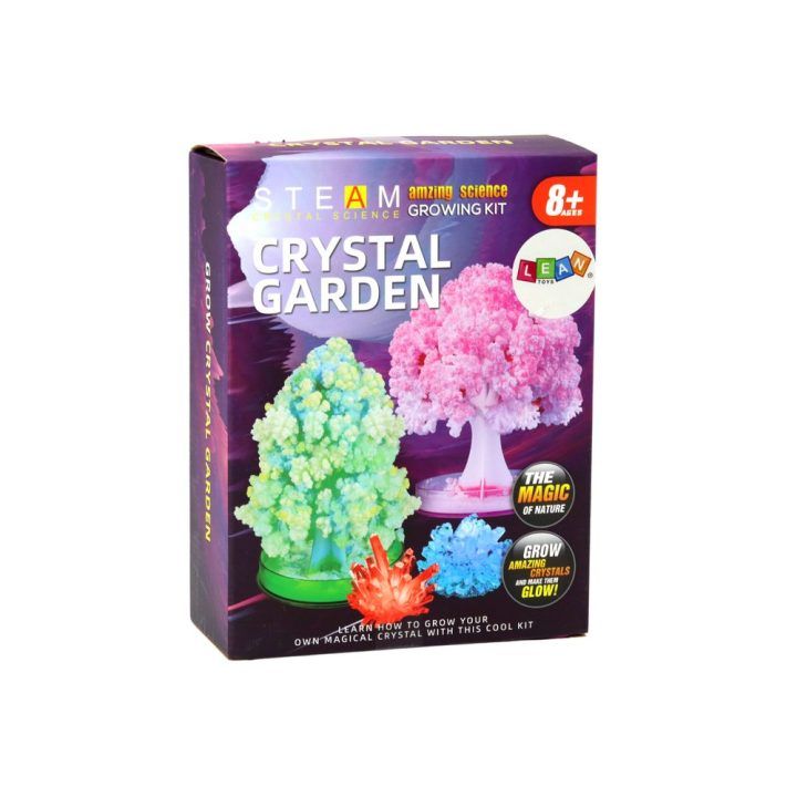 Kristalų auginimo rinkinys vaikams Crystal Garden STEAM