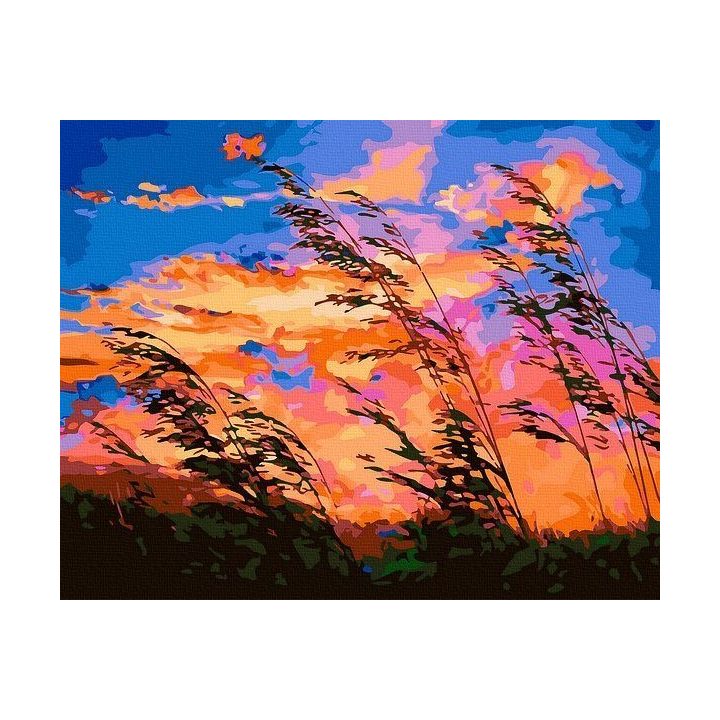 Tapyba pagal skaičius Vėjuotas saulėlydis 40x50 cm