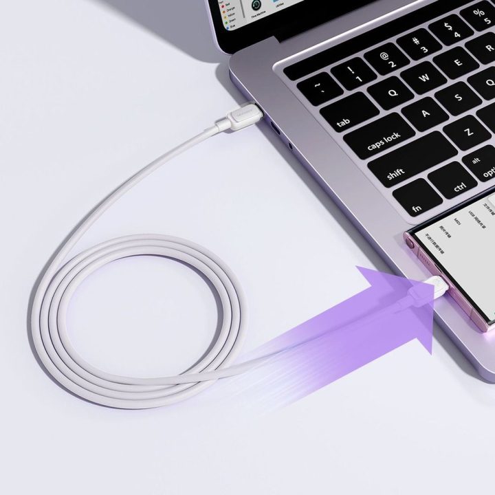 USB-C laidas 60 W 1,2 m baltas