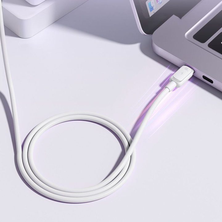 USB-C laidas 60 W 1,2 m baltas