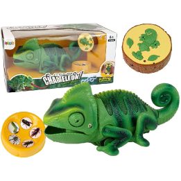 Žaislas chameleonas su pulteliu 28 cm – džiaugsmui ir kūrybiškiems nuotykiams.