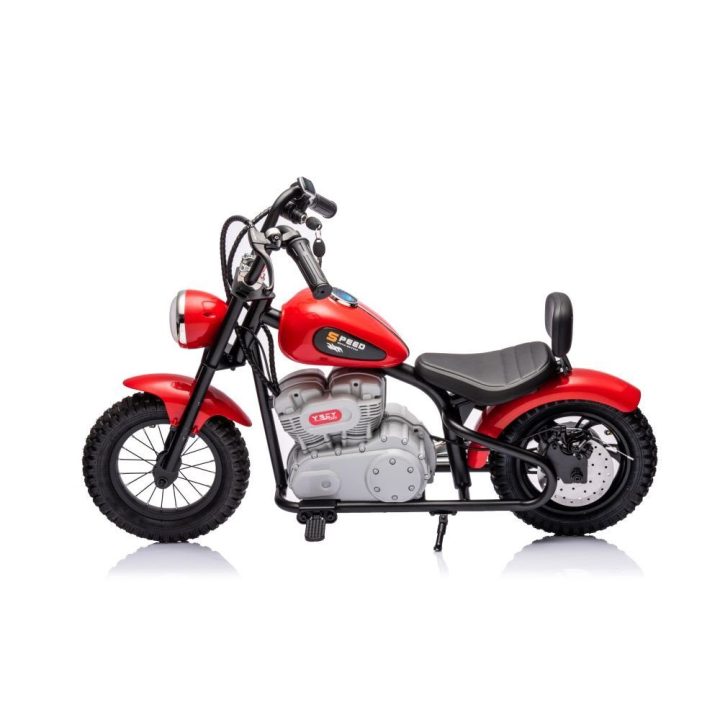 Motoroleris elektrinis A9902 36V – patogiam ir taupiam judėjimui mieste.