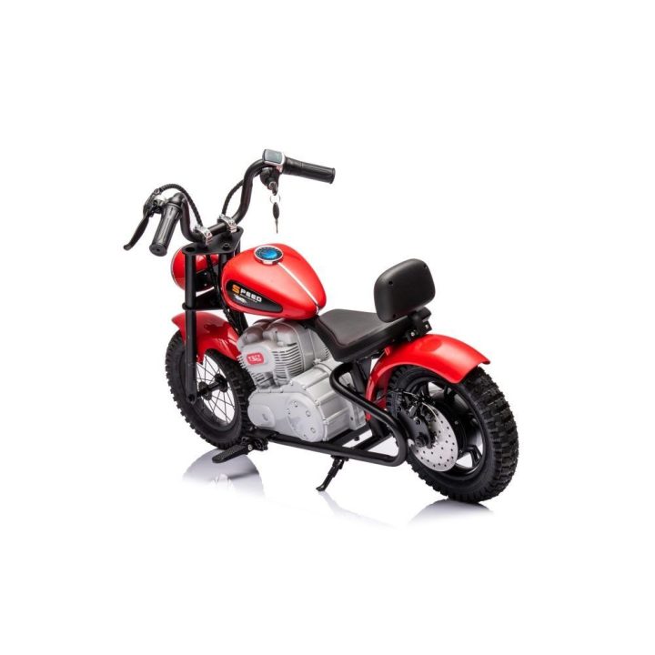 Motoroleris elektrinis A9902 36V – patogiam ir taupiam judėjimui mieste.