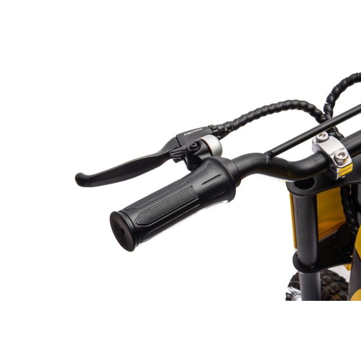 Motokroso motociklas elektrinis A9901 – nuotykiams ir aktyviam laisvalaikiui lauke.