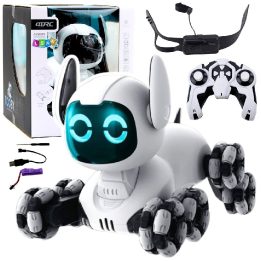 Robotas šuo valdomas nuotoliniu būdu TOOBY – žaidimams ir aktyviam laisvalaikiui vaikams.