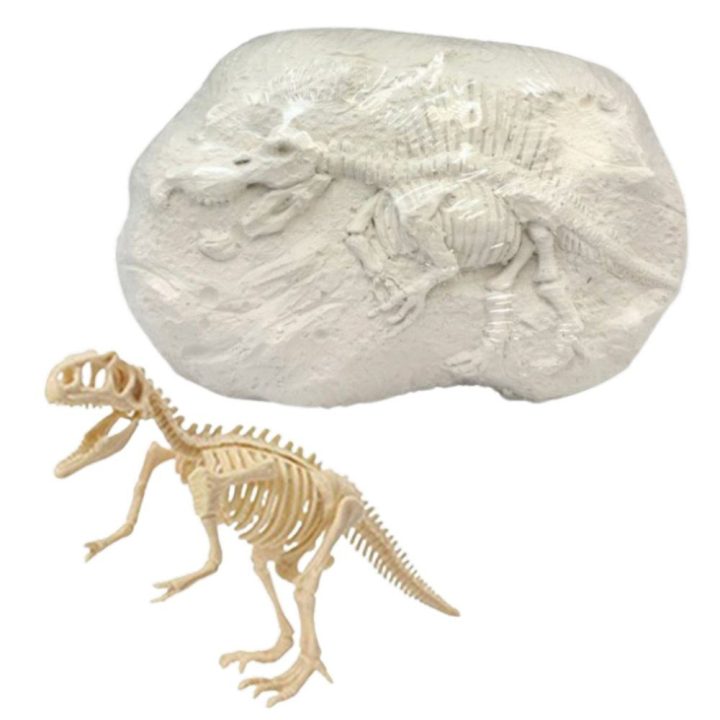 Rinkinys dinozauro skeletui kasti su įrankiais – smalsumui ir pažinimui žaidžiant.