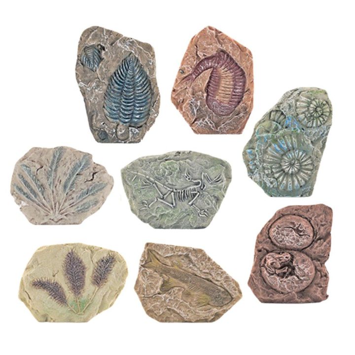 Rinkinys archeologiniams kasinėjimams su gipsiniu bloku – smagiam ir lavinančiam žaidimui.