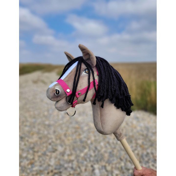 Hobby Horse arkliukas Super Premium A4