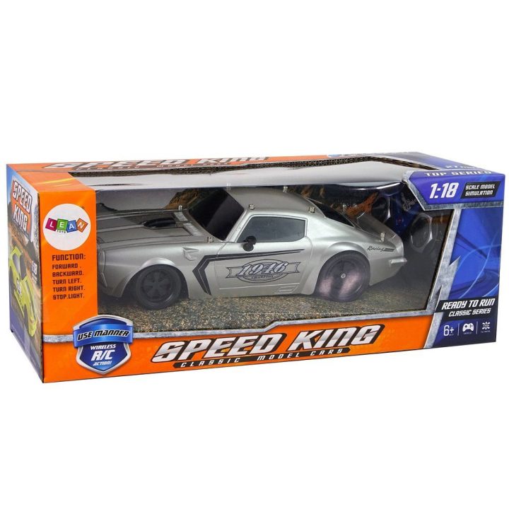 RC sportinis automobilis 1:18 Silver Champion Pilot