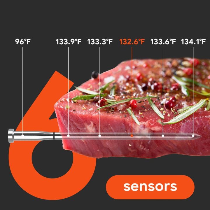 Maisto termometras su Bluetooth ir WiFi programėle Meatmeet S Pro