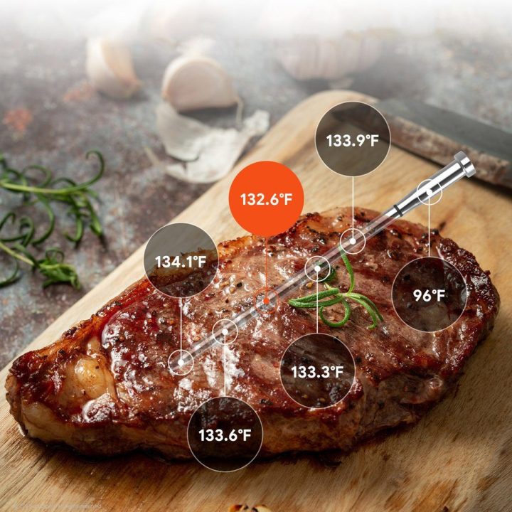 Maisto termometras su Bluetooth ir WiFi programėle Meatmeet S Pro