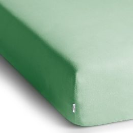Paklodė su guma mėtinės spalvos 100-120x200+30