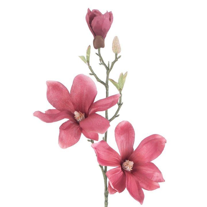 Dirbtinė burgundiška magnolija, 10 vnt.
