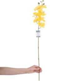 Dirbtinė orchidėja Falení Honey, 10 vnt.