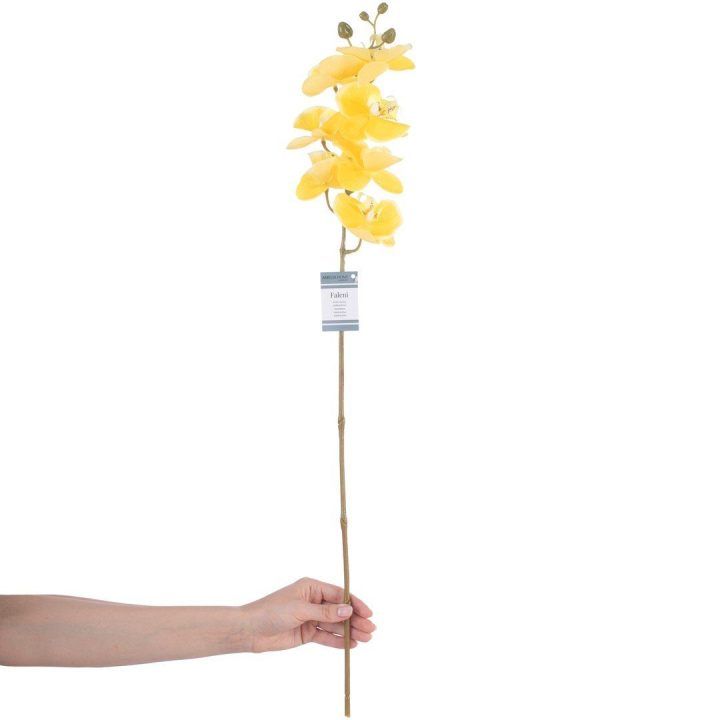 Dirbtinė orchidėja Falení Honey, 10 vnt.