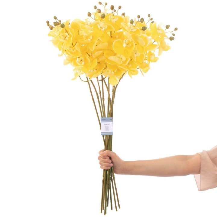 Dirbtinė orchidėja Falení Honey, 10 vnt.