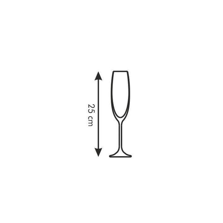 Sommelier šampano taurės, 6 vnt.