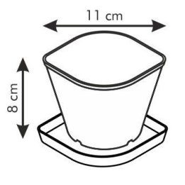 Sėjinės rinkinys bazilikui Sense