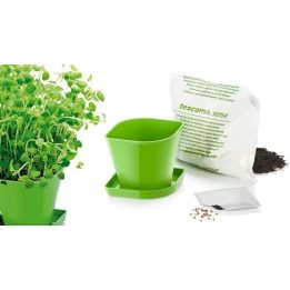 SENSE oregano žolelių auginimo rinkinys