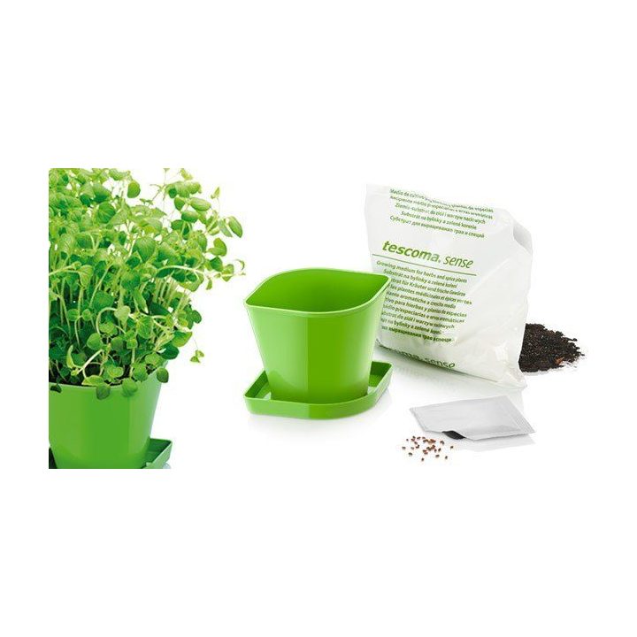 SENSE oregano žolelių auginimo rinkinys